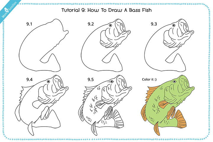 How To Draw A Fish? A Simple Technique For Kids - Caribu