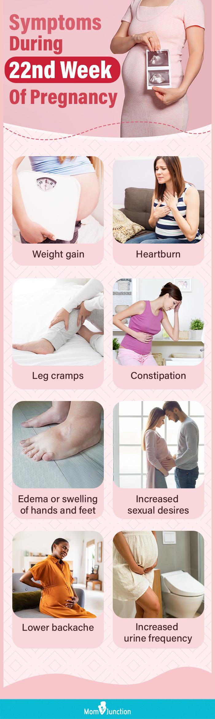 Nd Week Pregnancy Symptoms Baby Development And Tips