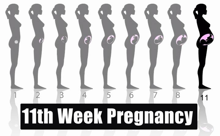 11th-week-pregnancy-symptoms-baby-development-tips-and-body-changes