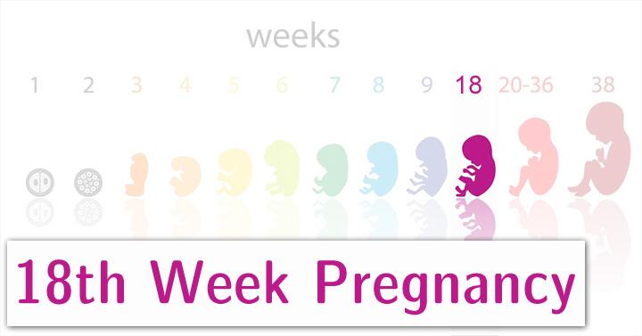 18th Week Pregnancy: Symptoms, Baby Development, And Body Changes