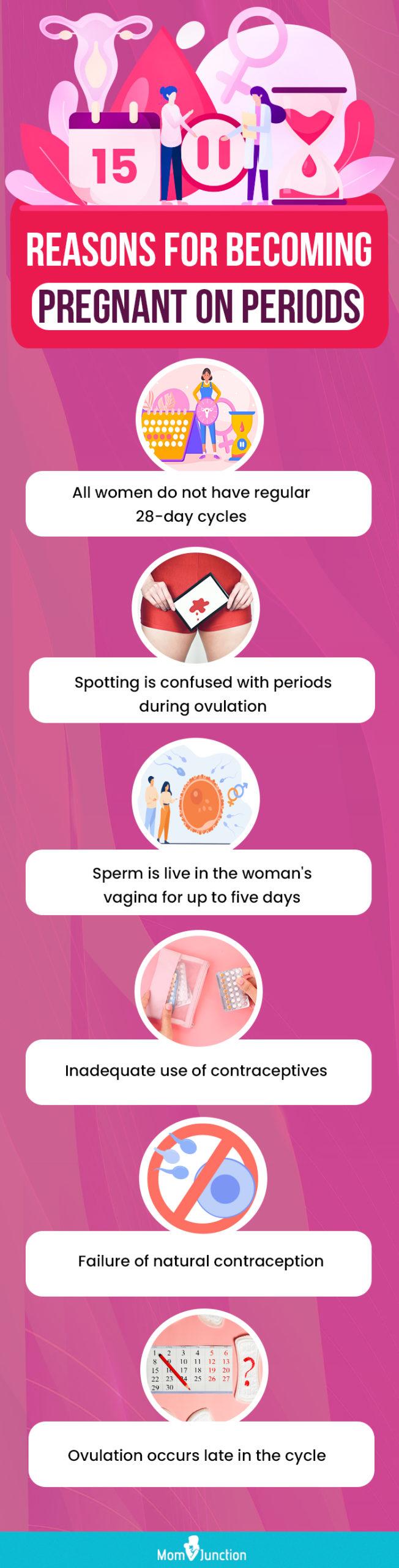 Menstruation Cycle Pregnancy