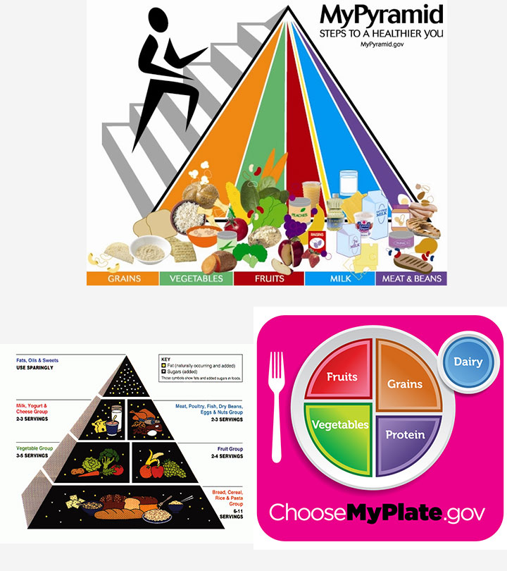 food pyramid with labels