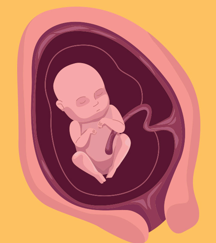 4 Months Pregnant: Symptoms, Belly Size & Baby Development