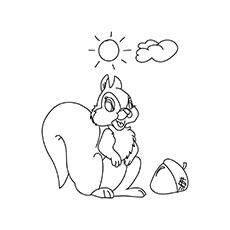 Top 25 Free Printable Squirrel Coloring Pages Online