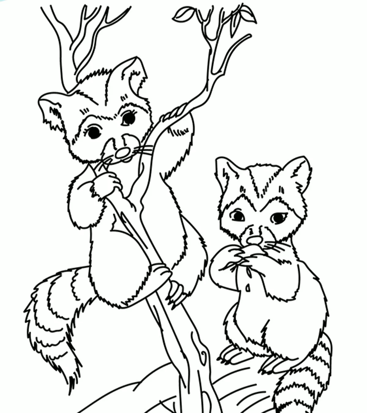 wild animals coloring page