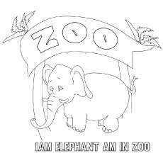 Top 25 Free Printable Zoo Coloring Pages Online