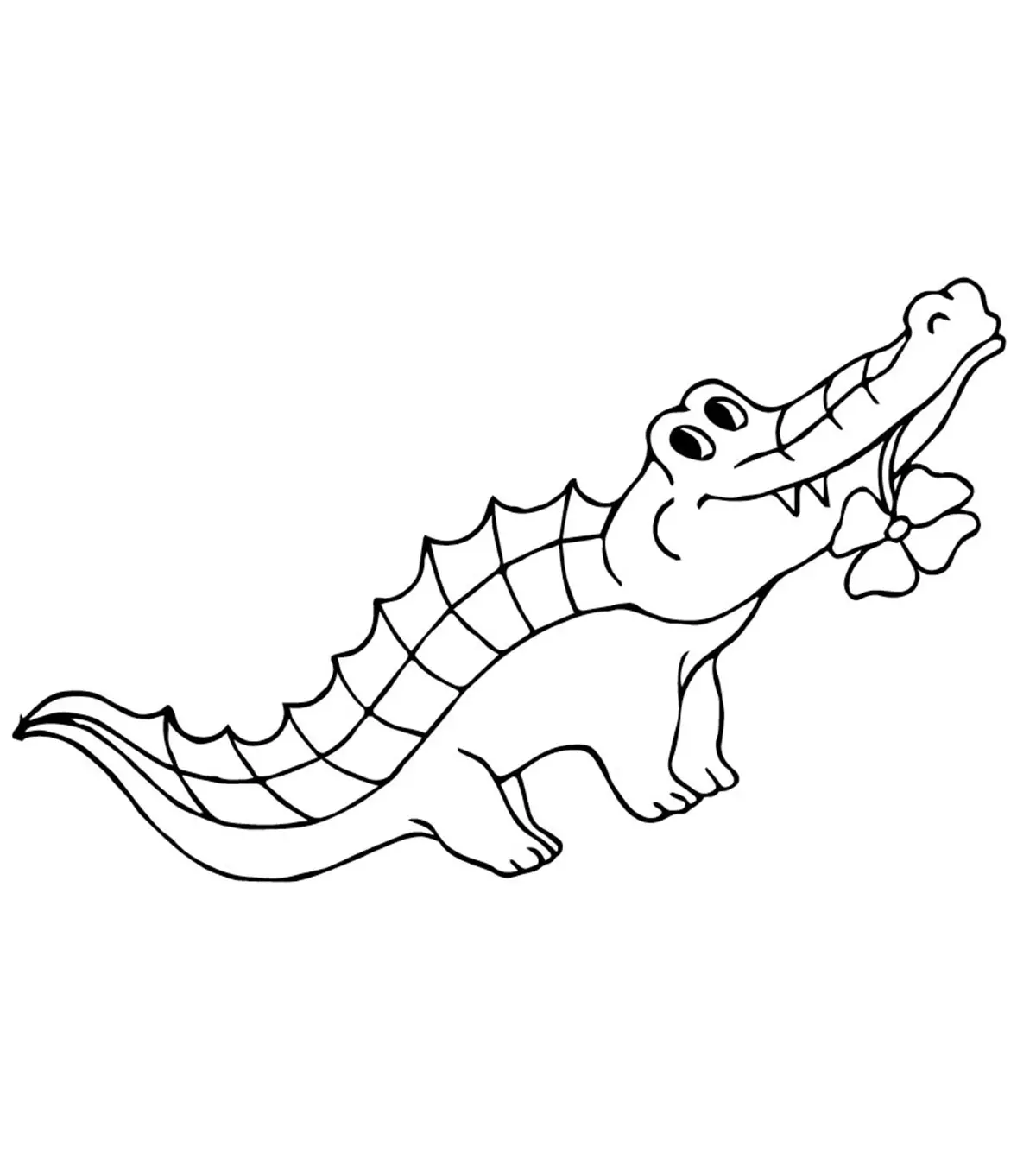 alligator coloring page