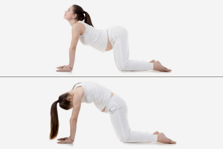 7 Best Yoga Poses for Mending Lower Back Pain - Steel Supplements