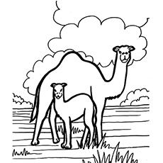 25 Best Camel Coloring Pages For Your Naughty Kid