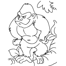 coloring pages for monkeys