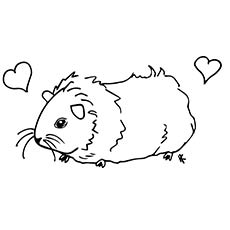 Top 25 Free Printable Guinea Pig Coloring Pages Online