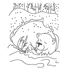 free hibernation coloring pages