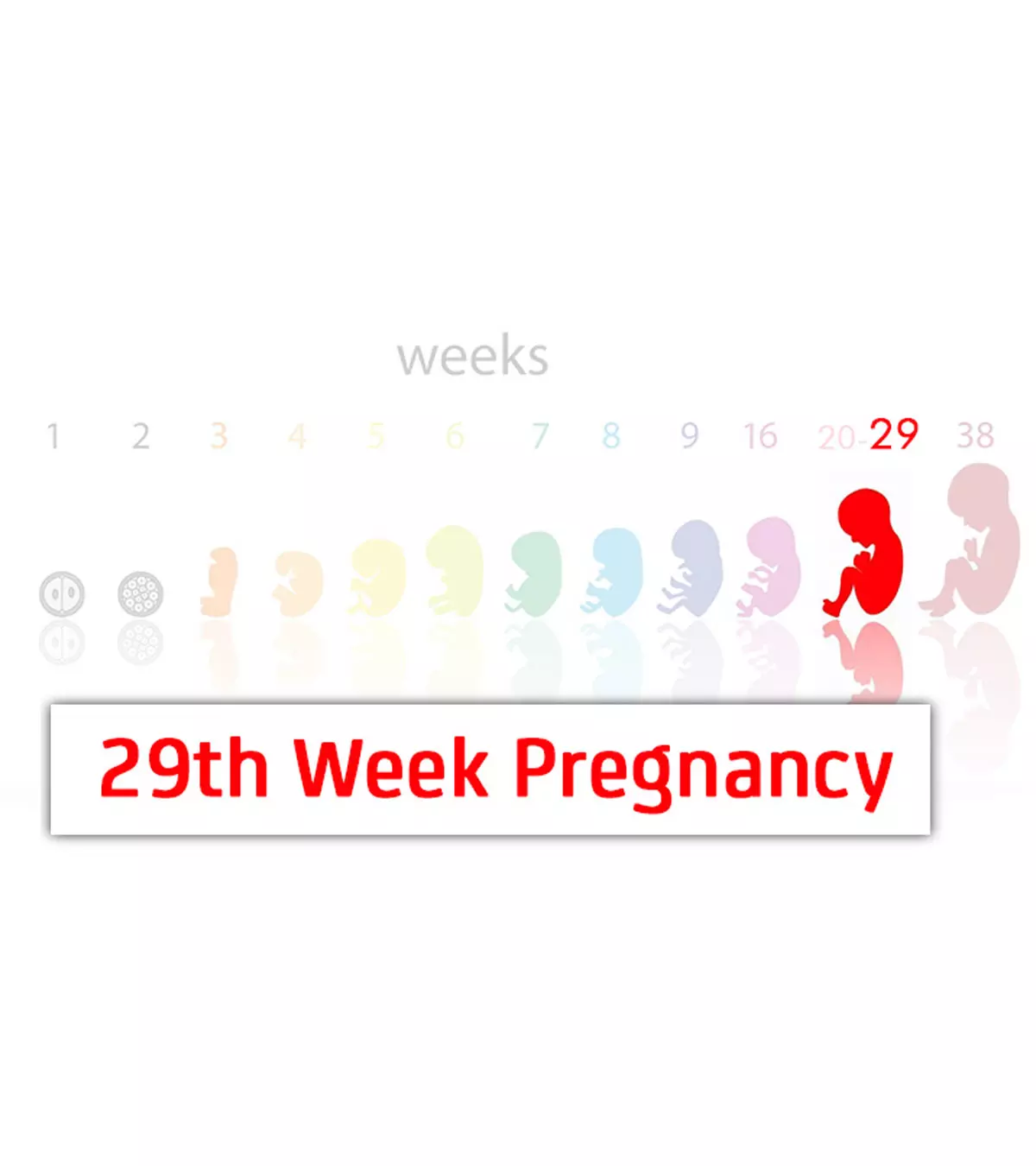 29th-Week-Pregnancy-Symptoms-Baby-Development-And-Bodily-Changes-1.jpg.webp