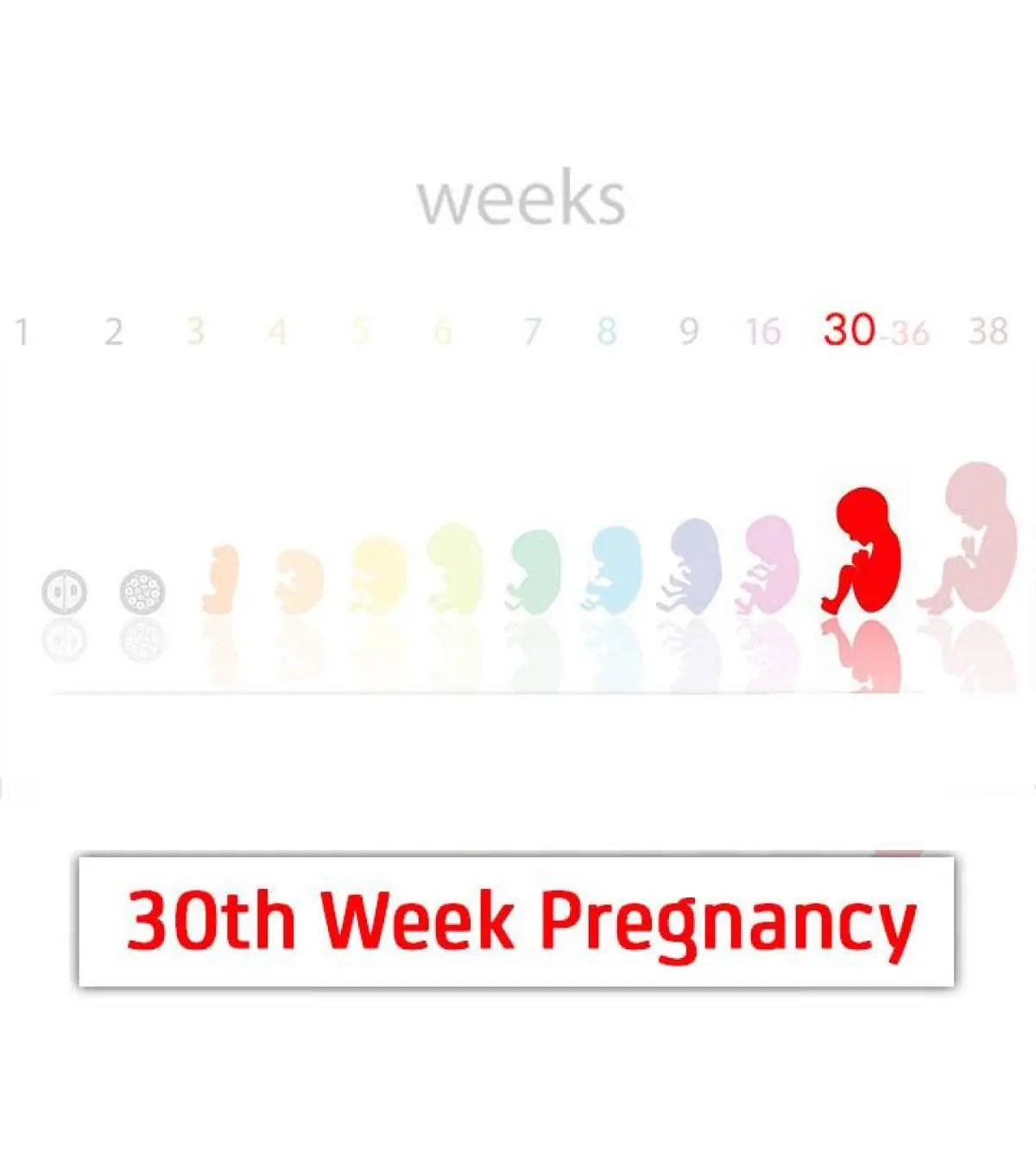 30th-Week-Pregnancy-1_1200px.jpg.webp