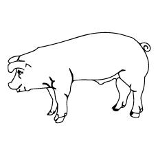 Top 20 Pig Coloring Pages Your Toddler Will Love