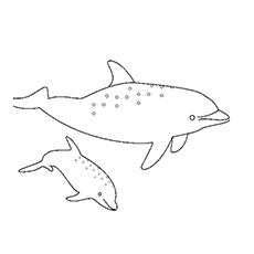 top 20 free printable dolphin coloring pages online