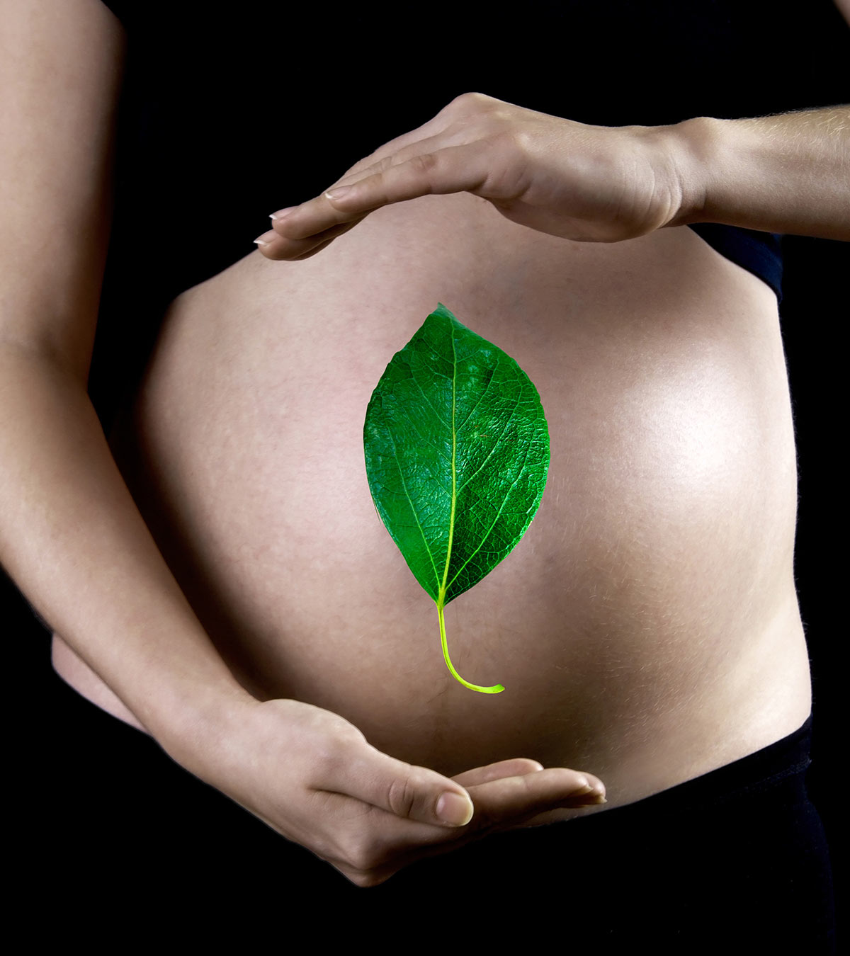 Having Betel Leaves During Pregnancy