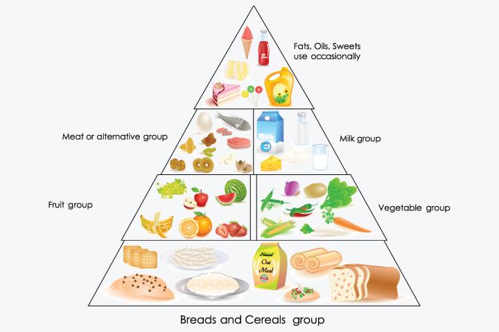 balanced-diet-chart-for-toddlers-a-complete-guide