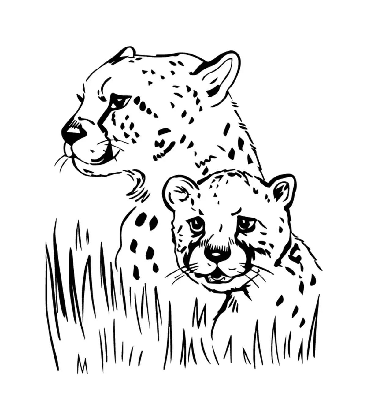 jaguar coloring page