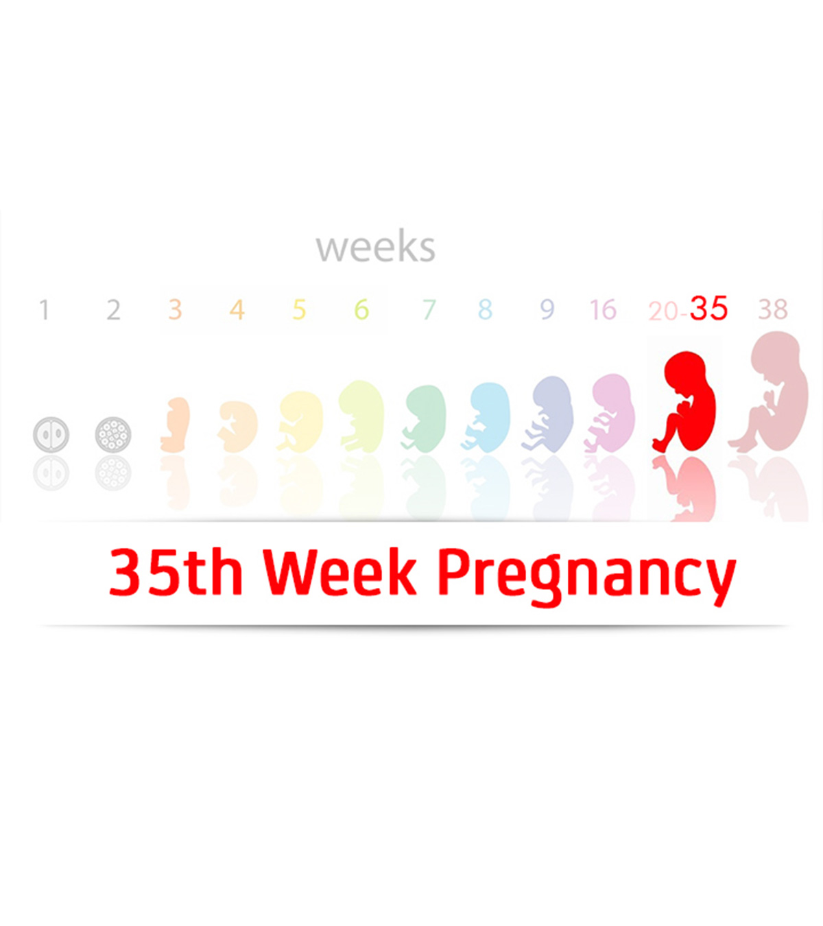 Symptoms Of 35 Weeks Pregnant Woman