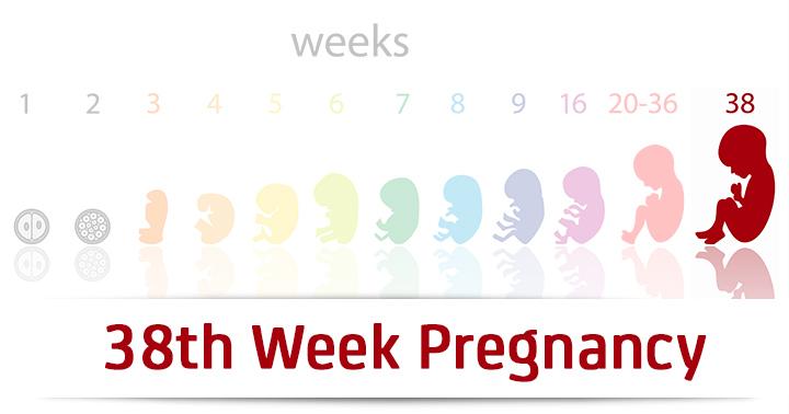 38th Week Pregnancy: Symptoms, Baby Development And Body Changes