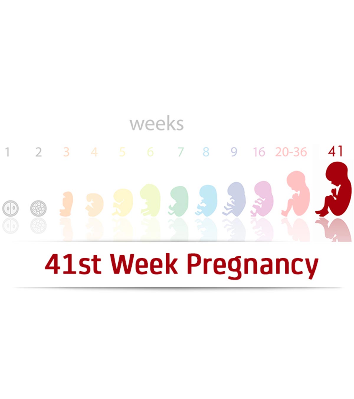 Baby growth on the 41st week of pregnancy