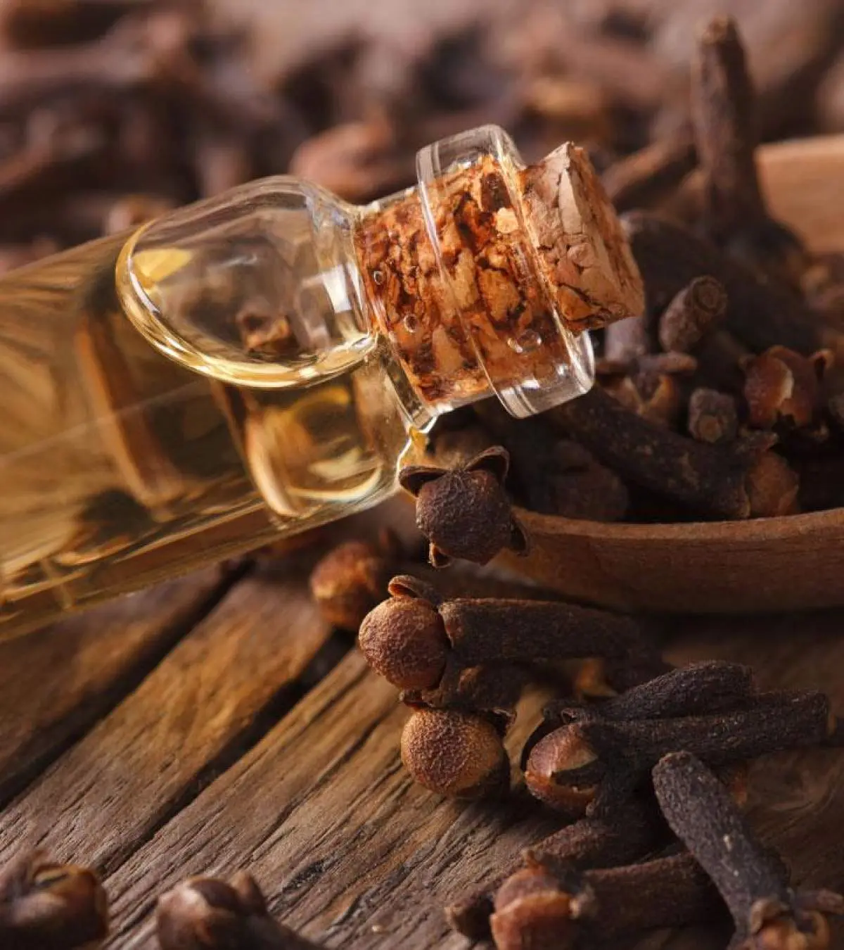 Is It Safe To Use Clove Oil During Pregnancy?