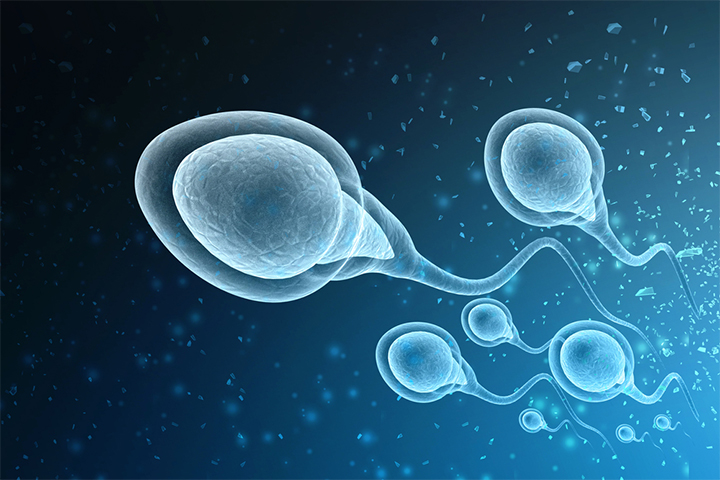 Can You Still Get Pregnant If the Sperm Comes Out?