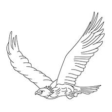 20 Cute Eagle Coloring Pages For Your Little Ones