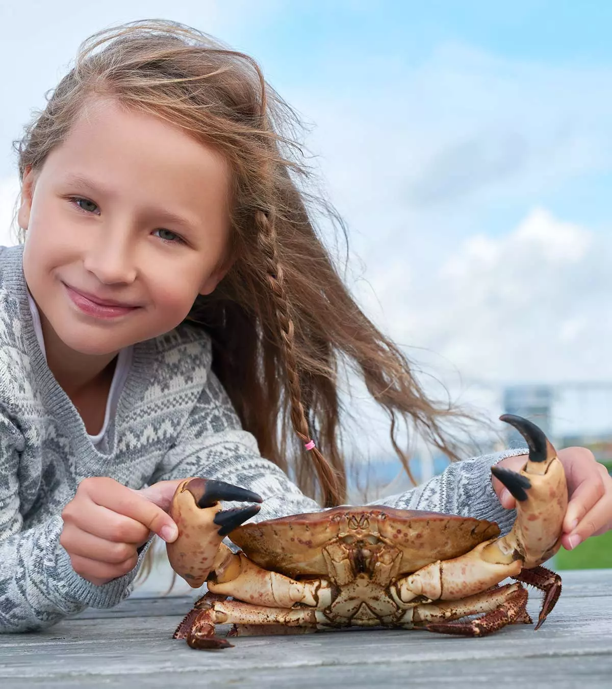 24 Fun Facts And Information About Crab For Kids