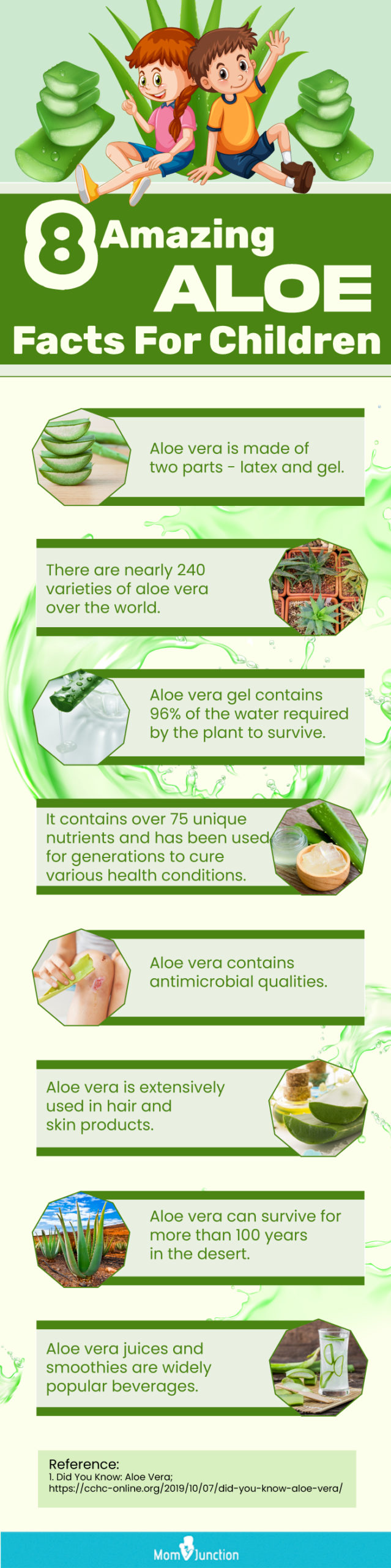 Aloe Vera Uses - 12 Things You Can Do With Aloe Vera Gel