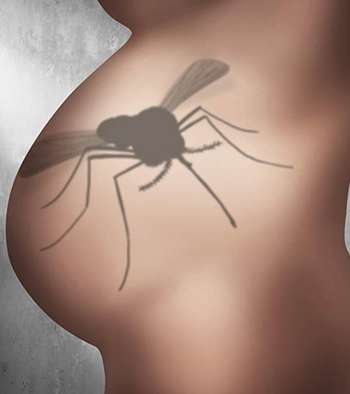 The History Of the Zika Virus In India & How One Should Prevent It