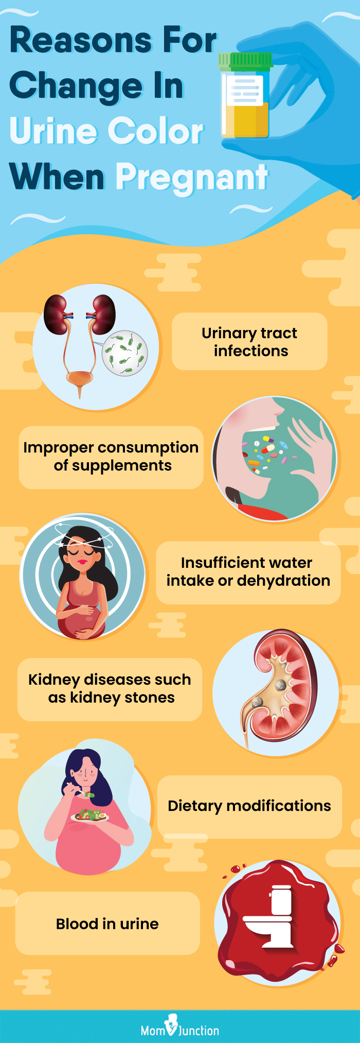 Leukocytes In Urine During Pregnancy: Causes And Treatment