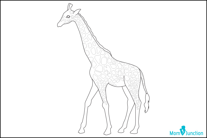 outline giraffe clip art black and white  Clip Art Library