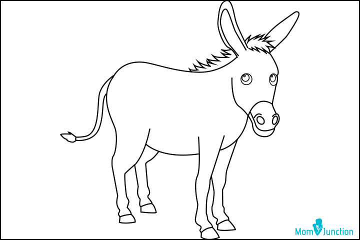 Character Donkey Black and White Vector Illustration Coloring Book for Kids:  Royalty Free #243168282