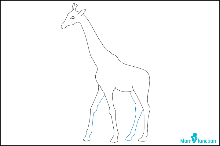 how to draw a giraffe step by step