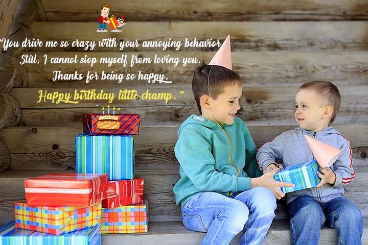 250+ Best Birthday Wishes for Brother: 2024 Messages