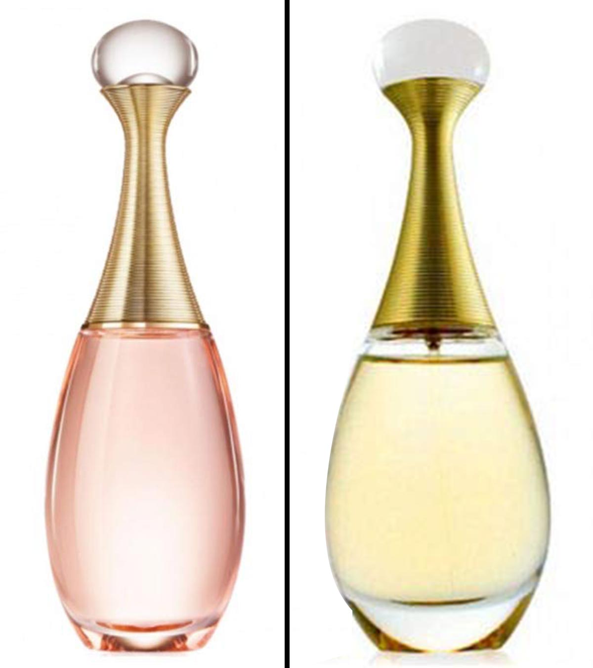 10 Best Dior Perfumes For Women 2024, Fashion-Designer Reviewed