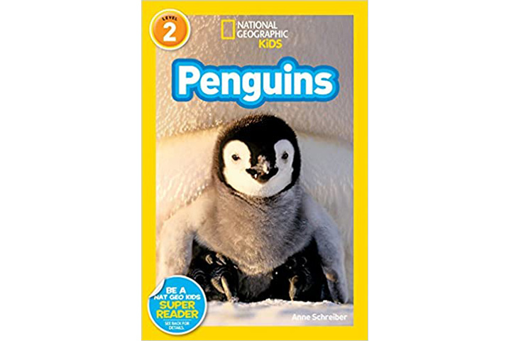 Pudgy Penguins Toys: The Best Toys for NFT Lovers - Blockgeeks