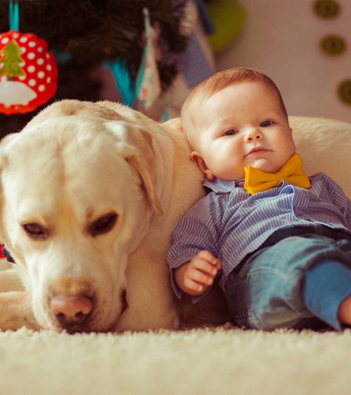 Beautiful Bond Between Babies And Dogs1