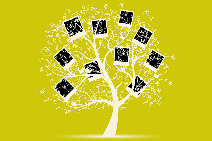 Pictures on family tree, illustration - Stock Image - C039/5293 - Science  Photo Library