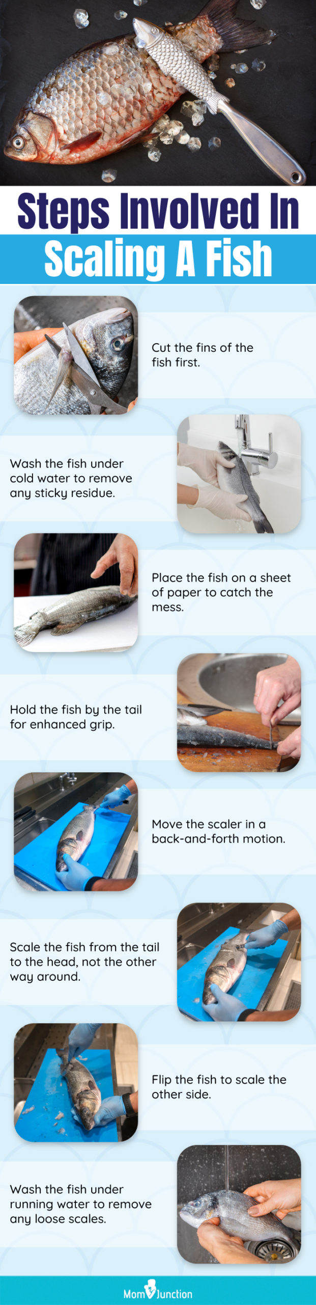 How to Scale a Fish: 10 Steps (with Pictures) - wikiHow