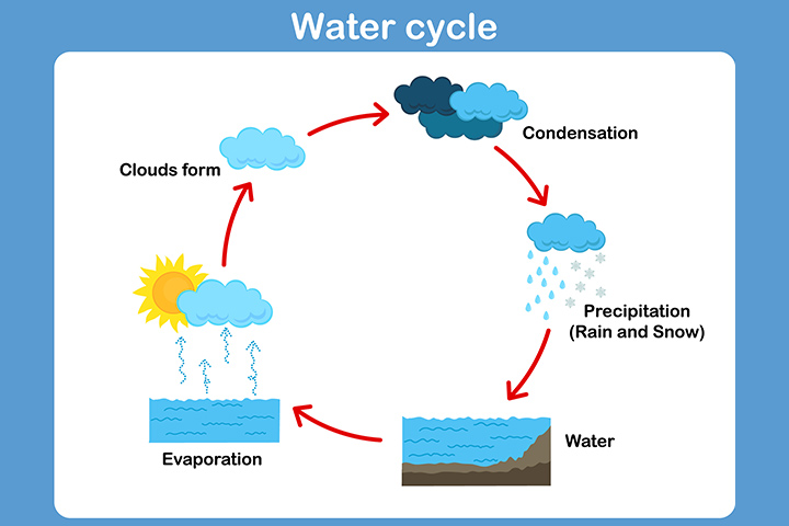 water cycle poems short