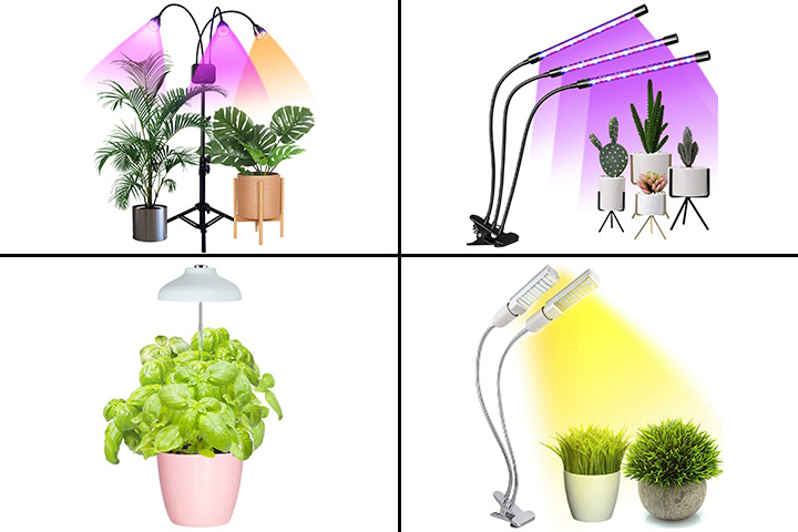 download free grow lights for indoor plants