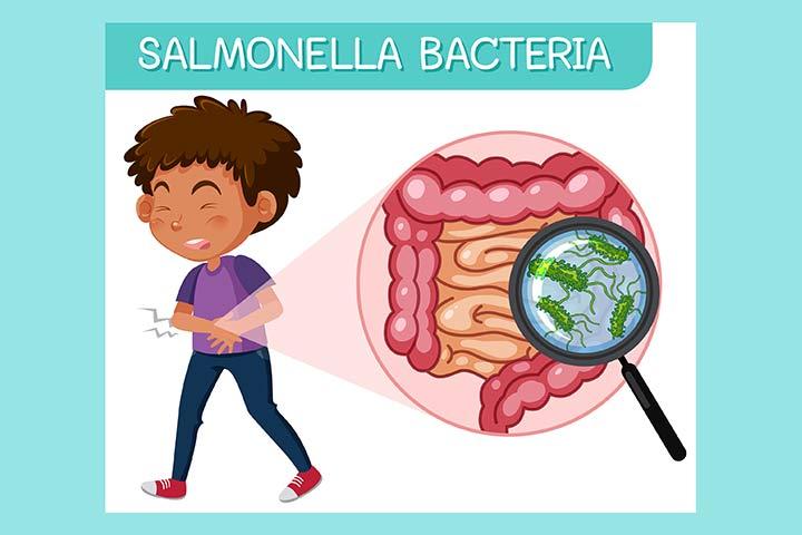 Que enfermedad produce la salmonella, Salmonella: los riesgos de ...