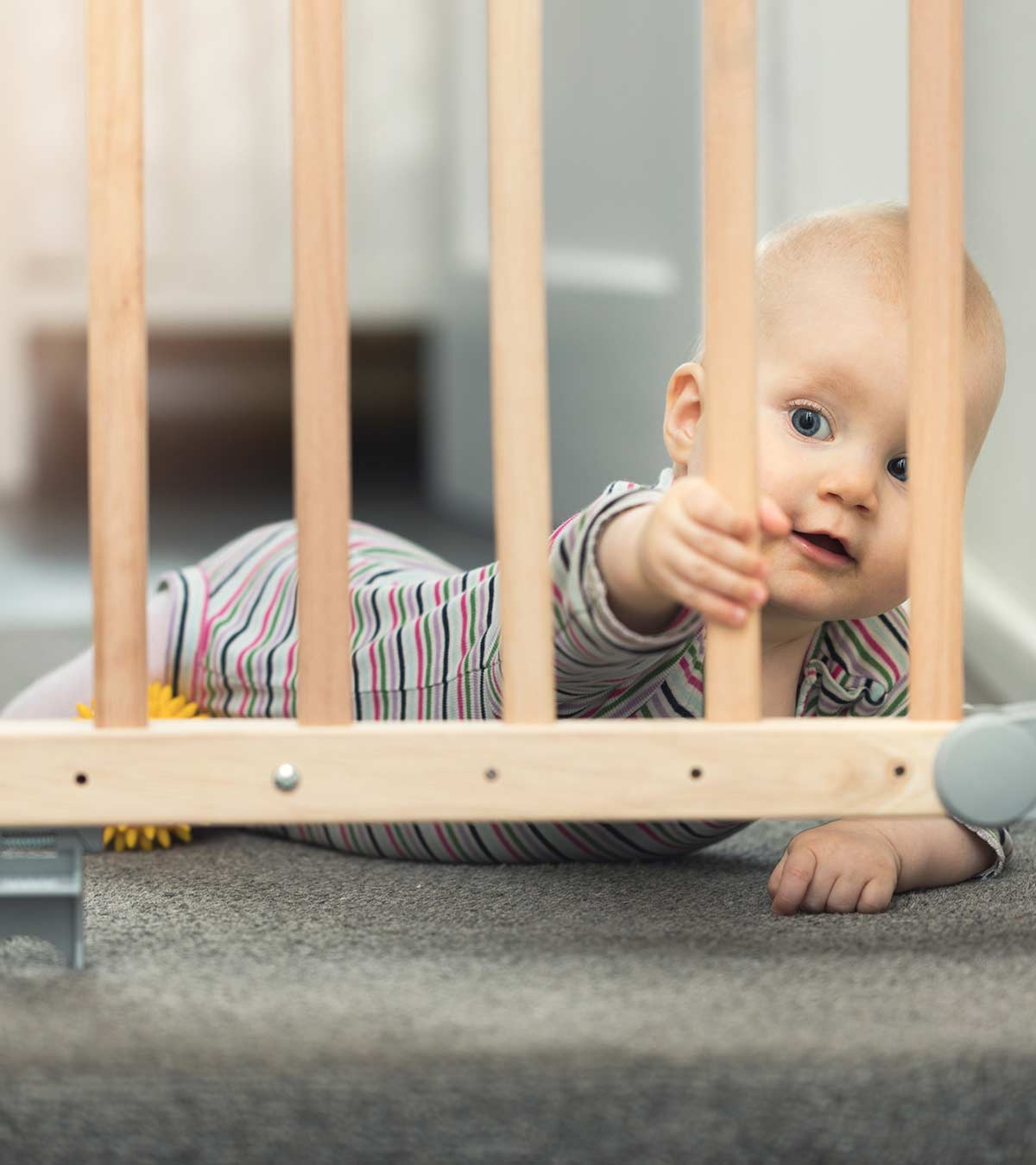 Planning To Get A Baby Gate Here’s What You Need To Know