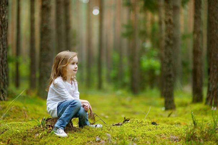 25 Informative And Fun Facts About Forests For Kids