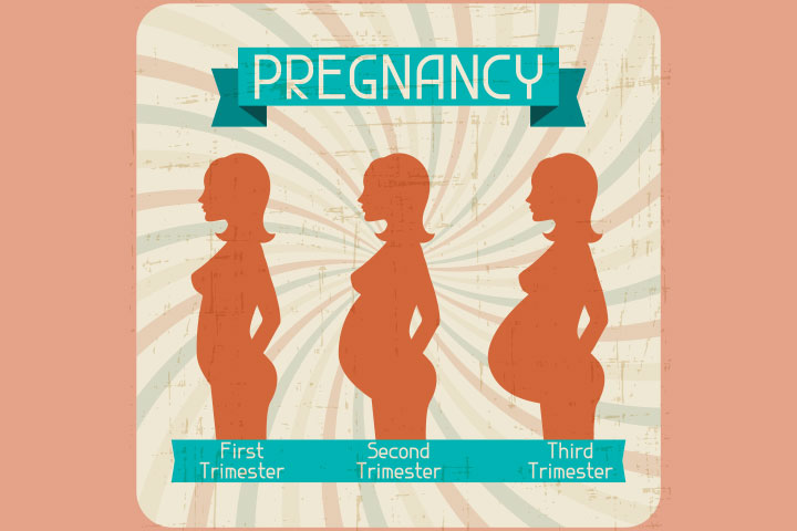 How To Calculate Pregnancy Week By Week & Months Accurately?