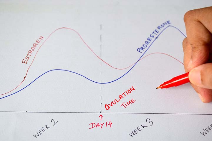 Calculating Your Menstrual Cycle to Find Your Most Fertile Days