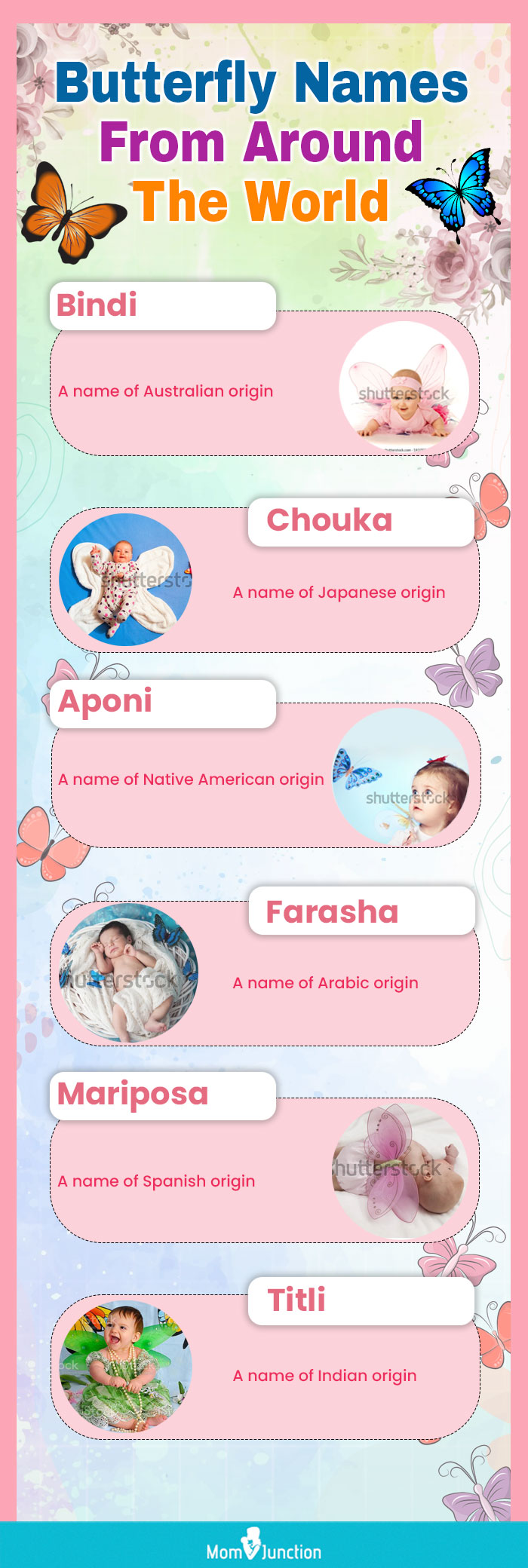 Bindi Baby Animals (Punjabi): A Beginner Language Book for Punjabi Children